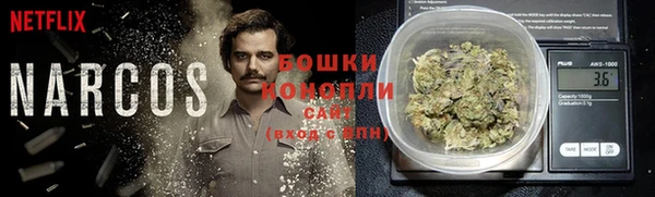 молекула духа Горняк