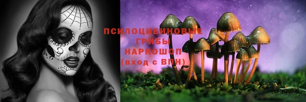 PSILOCYBIN Горно-Алтайск