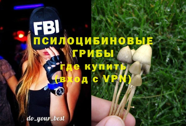 PSILOCYBIN Горно-Алтайск