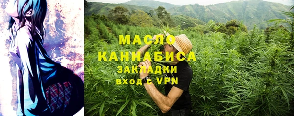 молекула духа Горняк