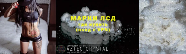 PSILOCYBIN Горно-Алтайск