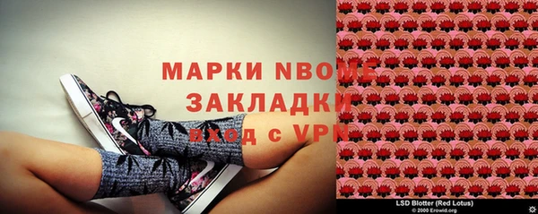 дживик Горнозаводск