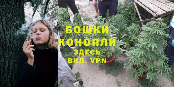 молекула духа Горняк