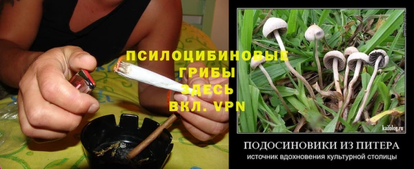 мдпв Гусиноозёрск