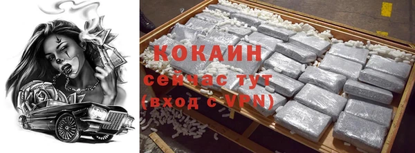 2c-b Ельня