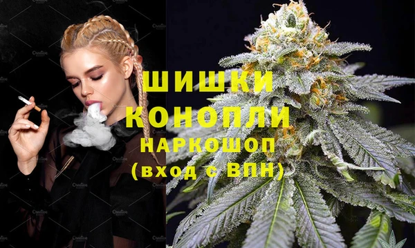 PSILOCYBIN Горно-Алтайск