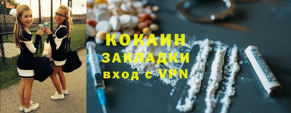PSILOCYBIN Горно-Алтайск