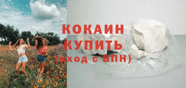 PSILOCYBIN Горно-Алтайск